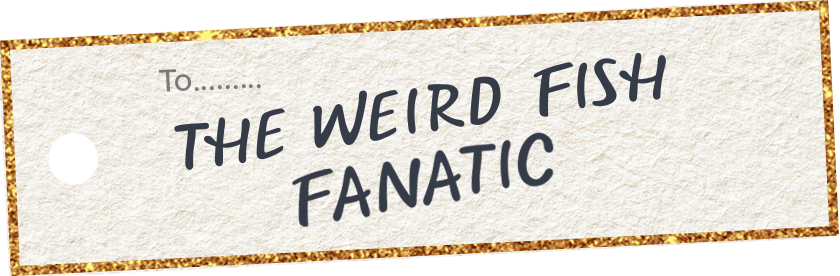 The Weird Fish Fanatic