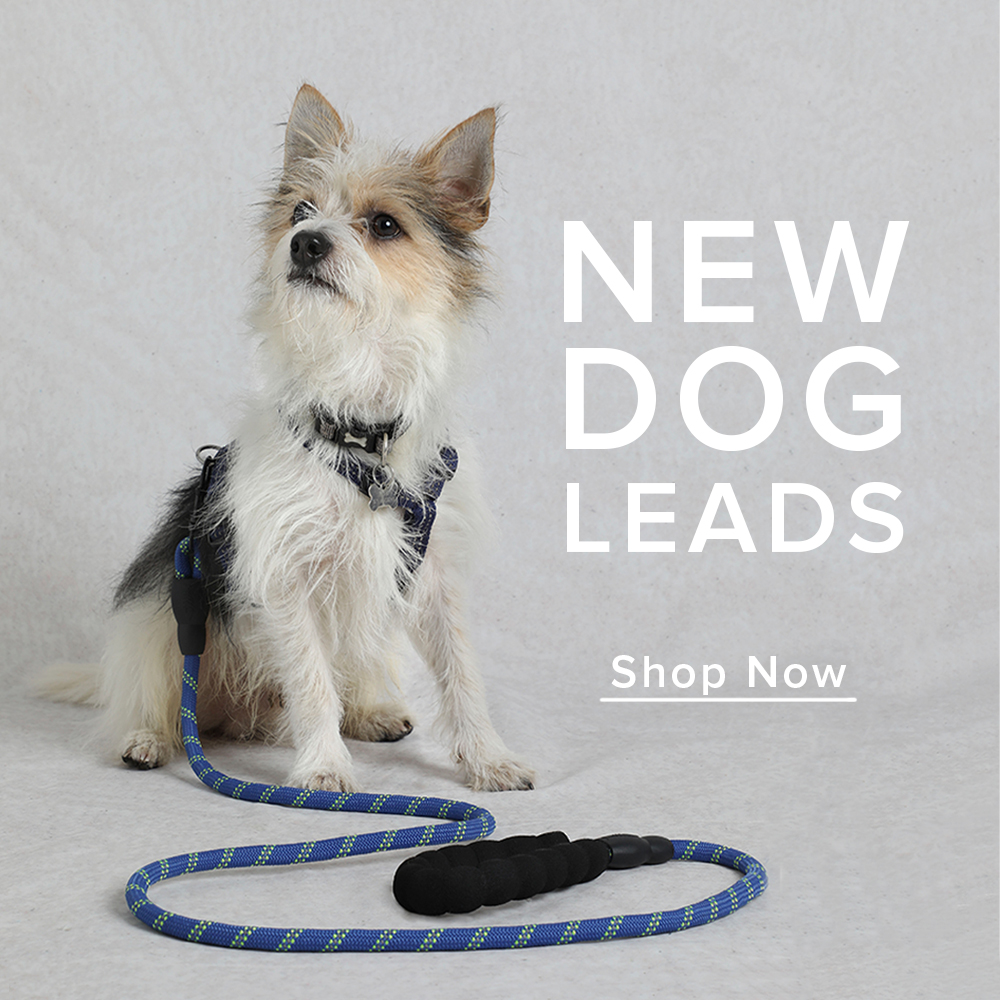 Wilf Reflective Rope Dog Lead