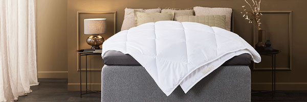 Melyik paplant válaszd? Teljes körű útmutató