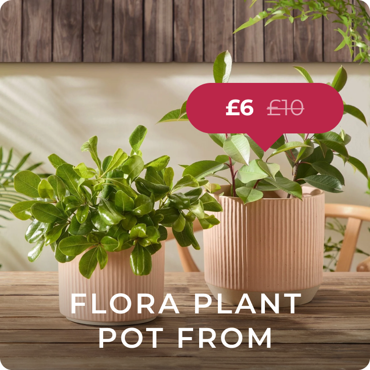 Flora Ribbed Clay Plant Pot
