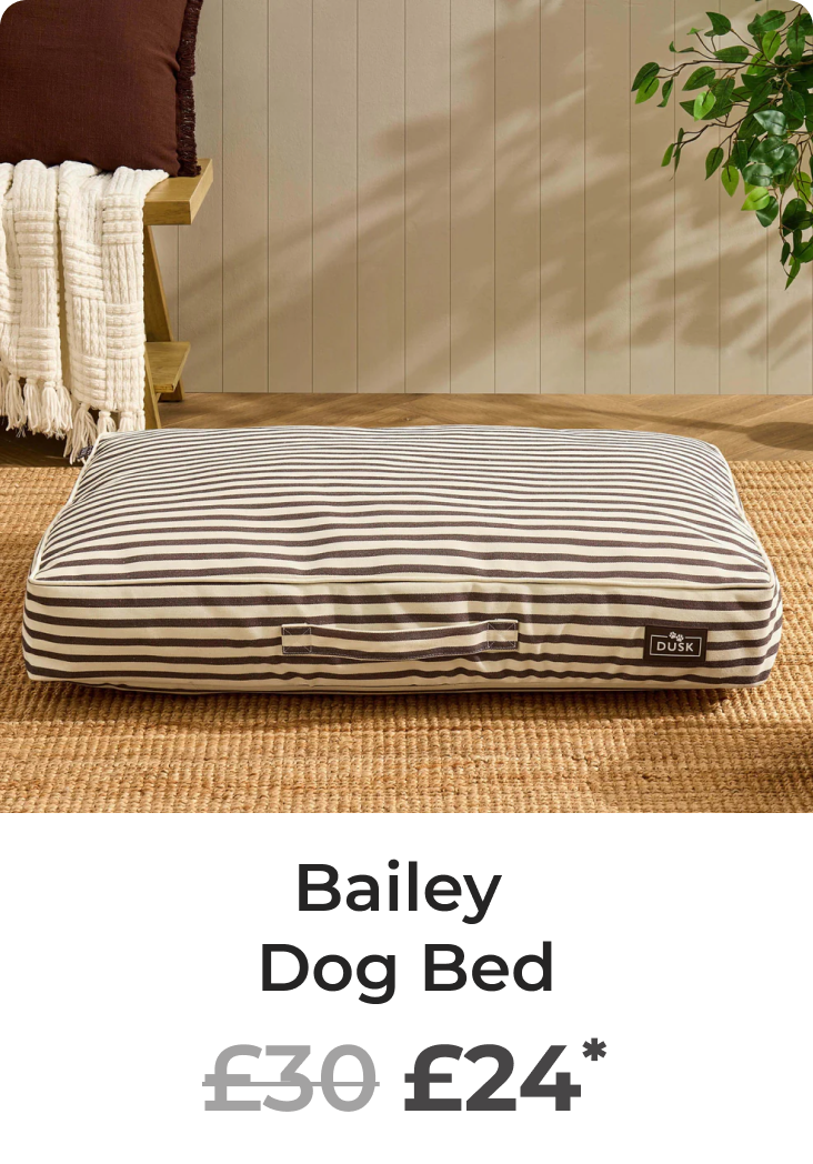 Bailey Striped Pillow Dog Bed