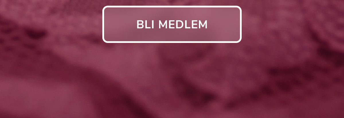 SHOP MEDLEMSDAGERBLI MEDLEM