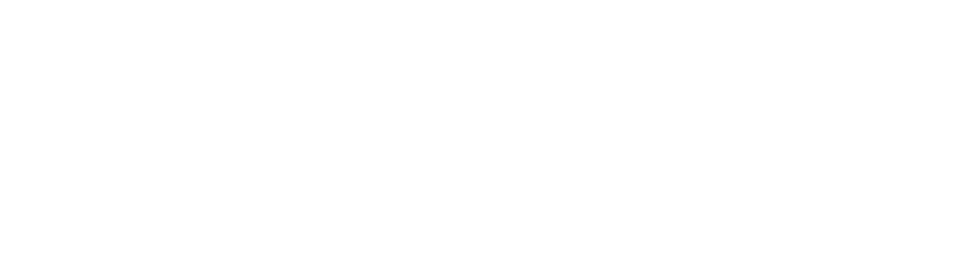 ELEMIS