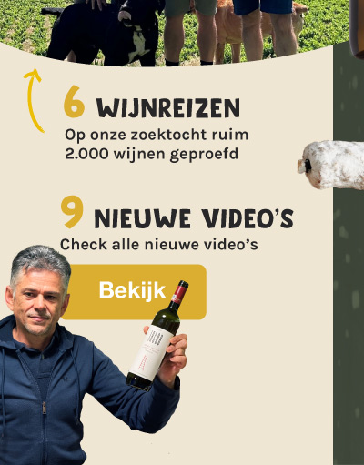 Wijnen met video