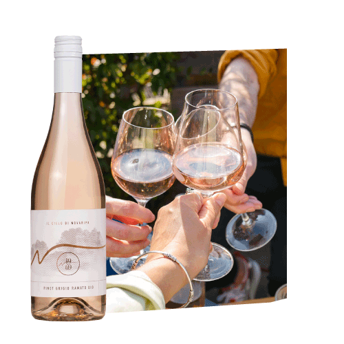 Novaripa Pinot Grigio Ramato