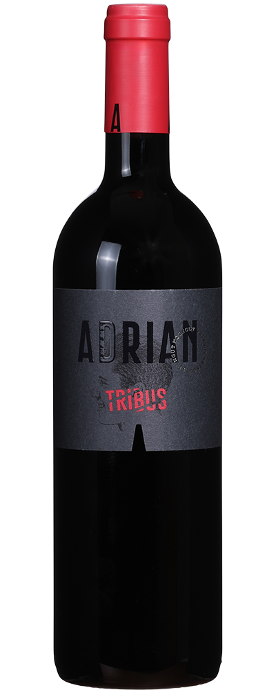 Weingut Adrian Tribus