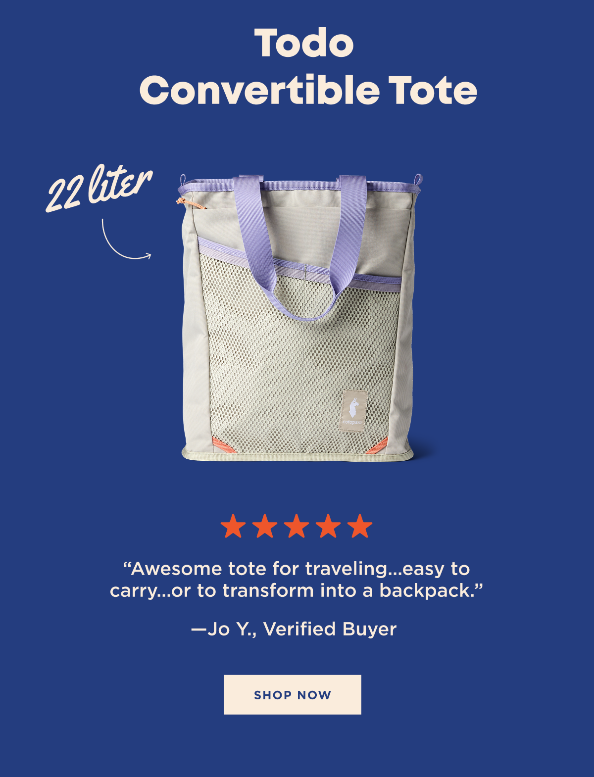 Todo 22L Convertible Tote