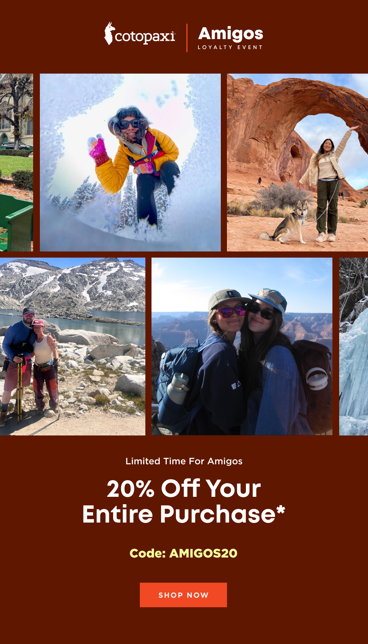 20% Off Your Entire Purchase*
