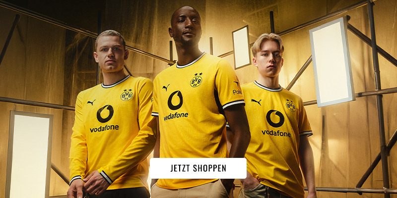 BVBTrikot26/27