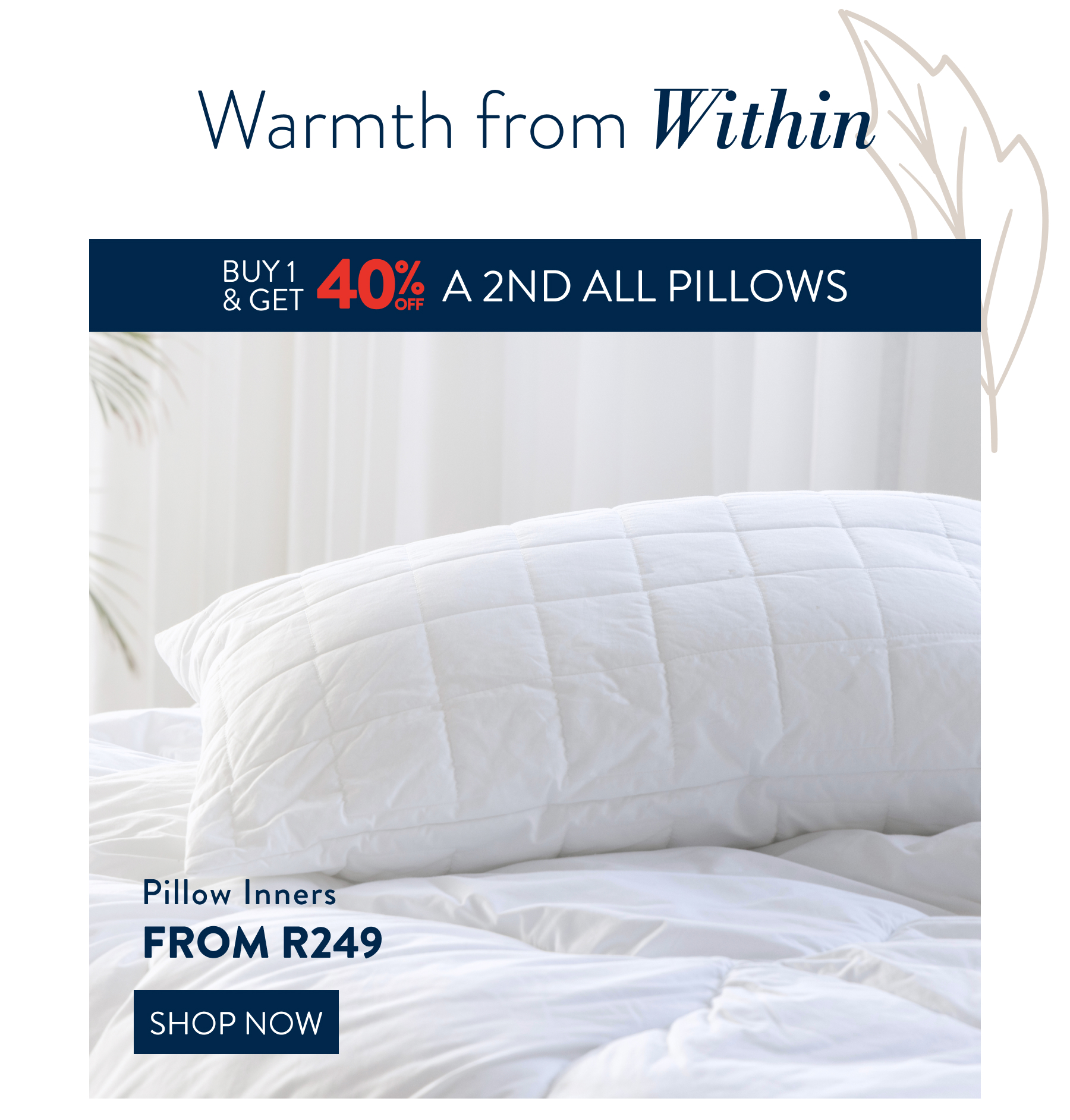 Buy 1 & Get 40% OFF a 2nd ALL Pillows FROM: 