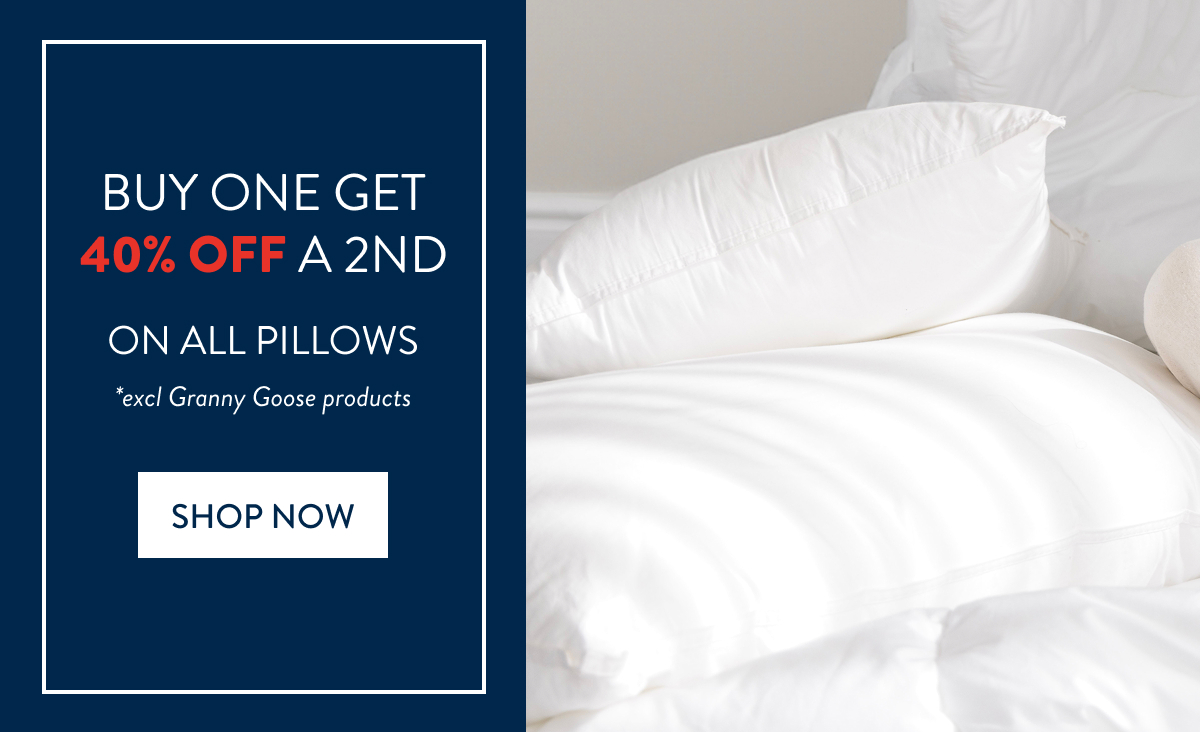 MORE DEALS - Buy 1 & get 40% off 2nd on all pillows