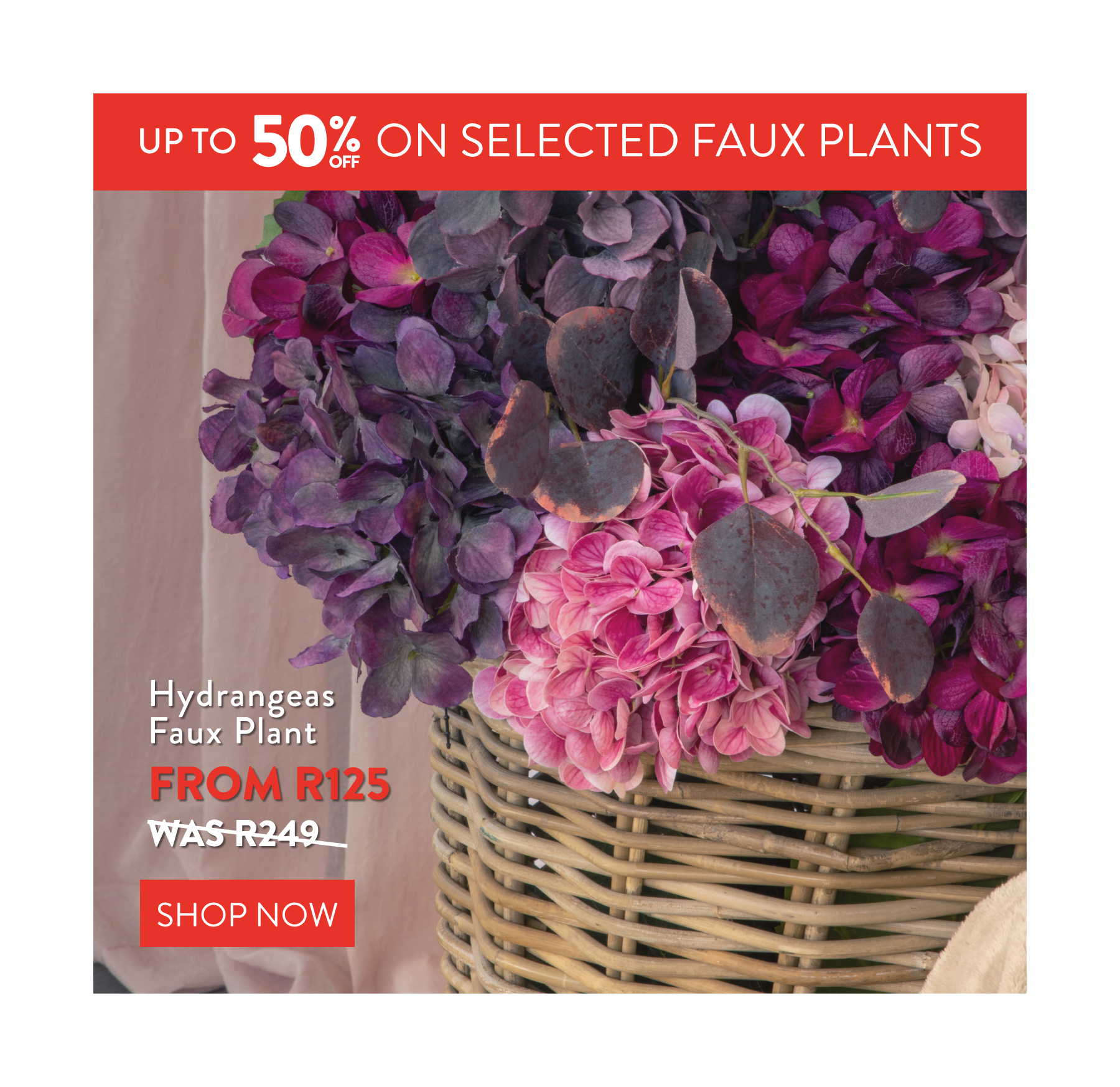 Up to 50% OFF Selected Faux Plants FROM: 
