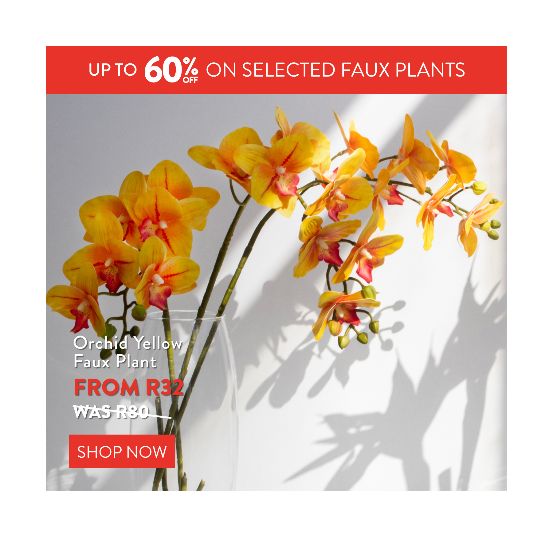 Up to 60% OFF Selectd Faux Plants FROM: 