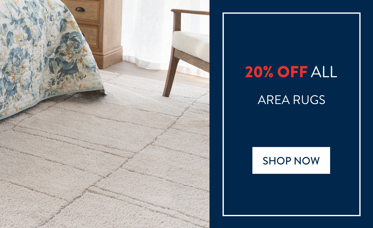 20% OFF ALL AREA RUGS