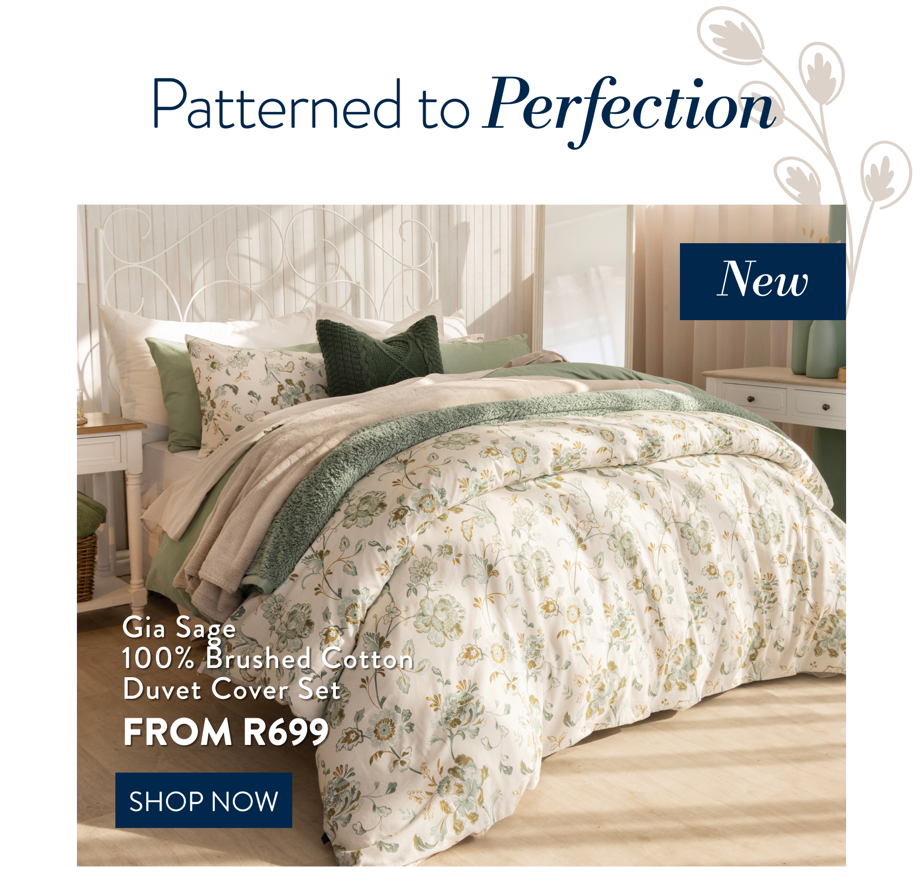 Gia Sage Brushed Cotton DCS FROM: 