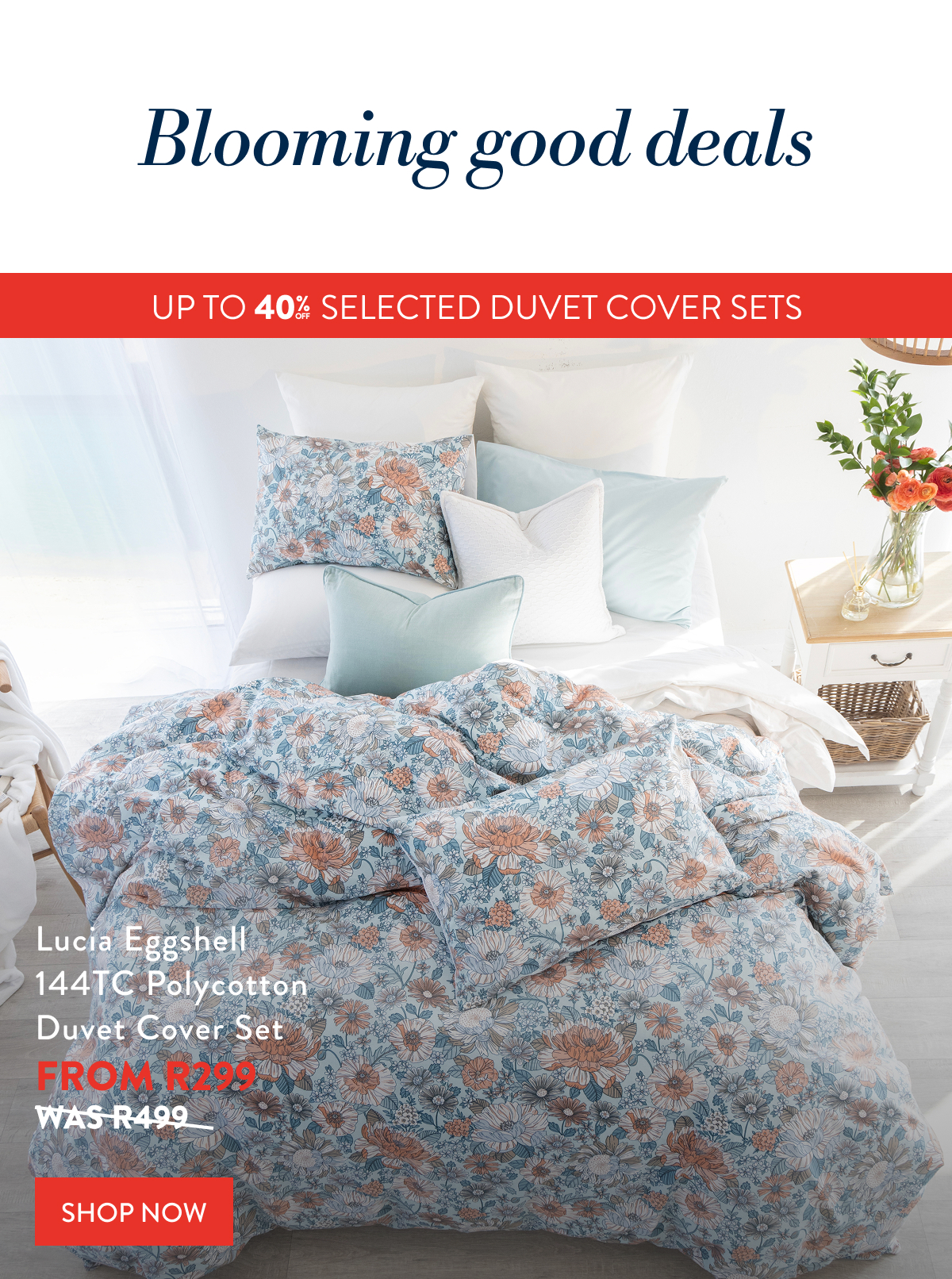 UP TO 40% OFF Lucia Eggshell DCS