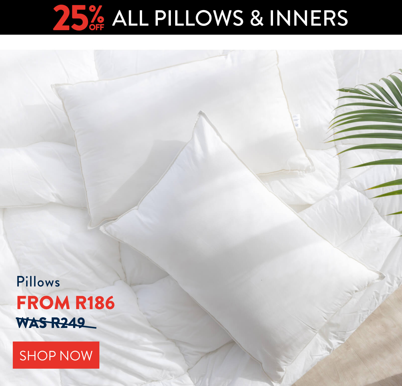 25% OFF ALL Pillows: 