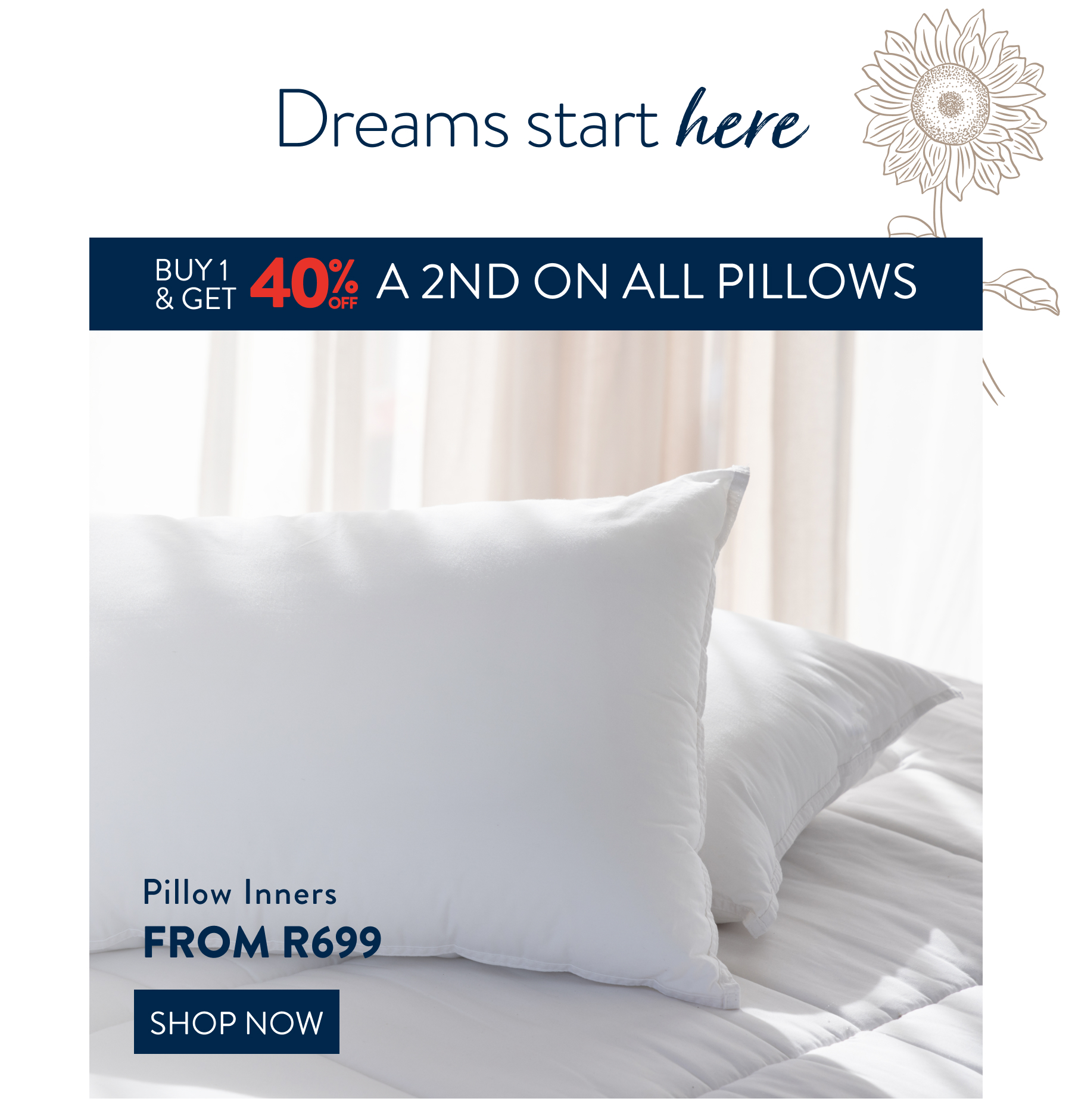 Buy 1, Get 40% a 2nd ALL Pillows FROM: 