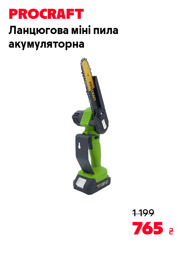 Ланцюгова міні пила акумуляторна Procraft PKA24Li (без акб та зп)(030026)