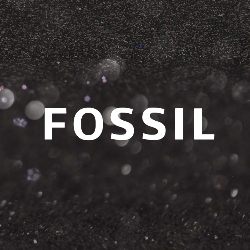 SHOP FOSSIL