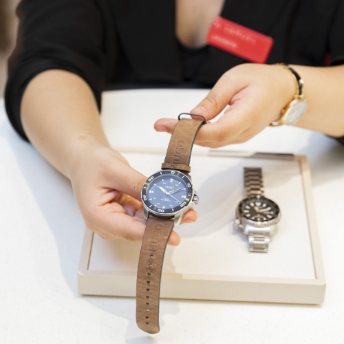 WATCH CARE AND REPAIR