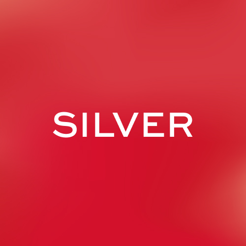 SHOP SILVER
