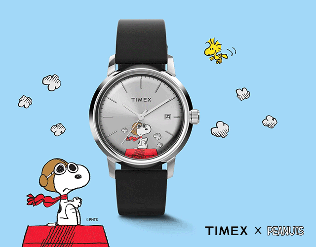 SHOP THE COLLECTIONS