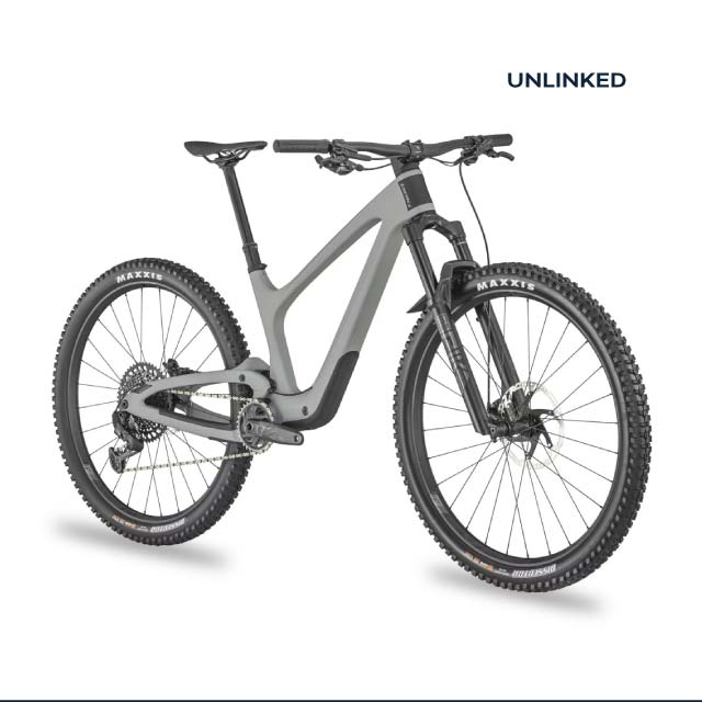 Bold Cycles 