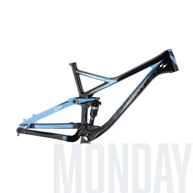 Bike Frames