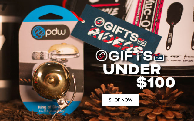 Gifts Under $100