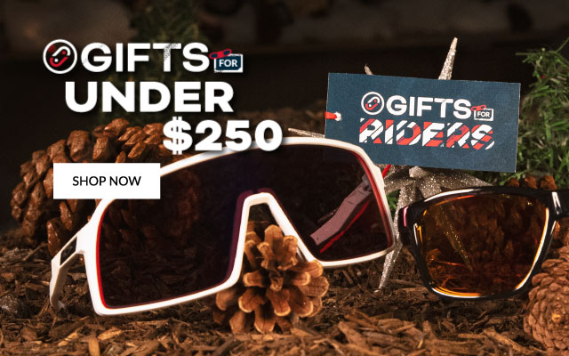 Gifts Under $250