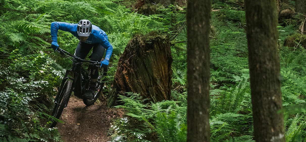 Norco Fluid VLT