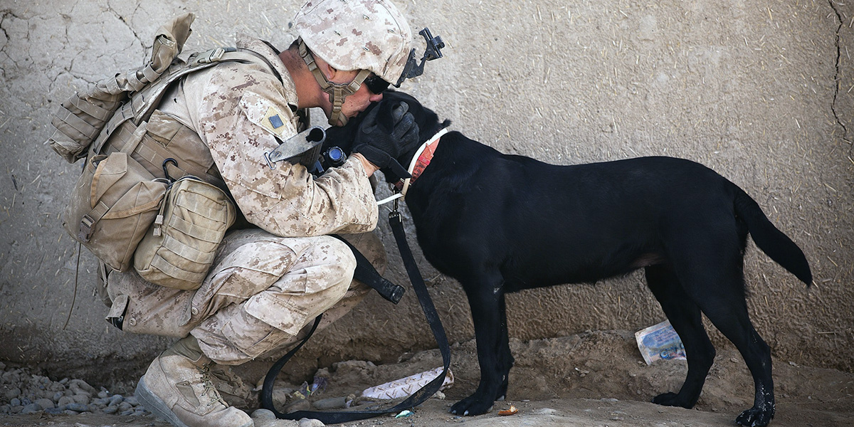 Wounded Warrior Project