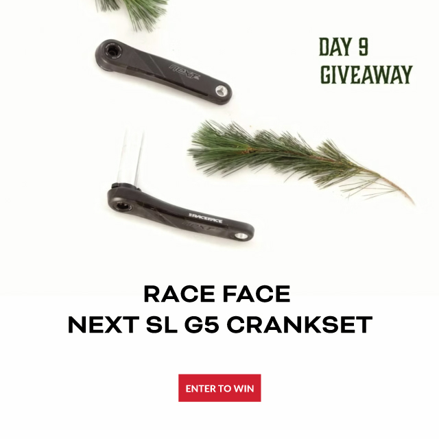 Day 9