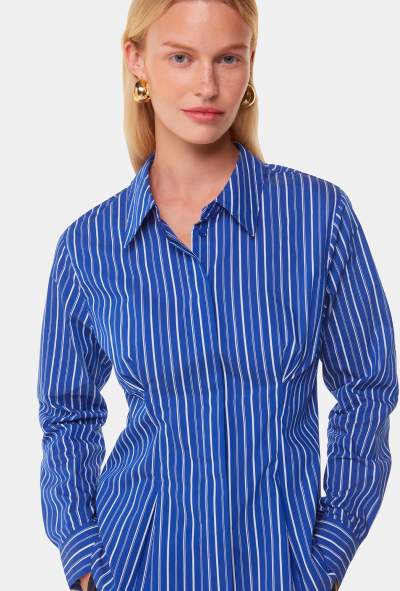 Stripe Waisted Cotton Shirt
