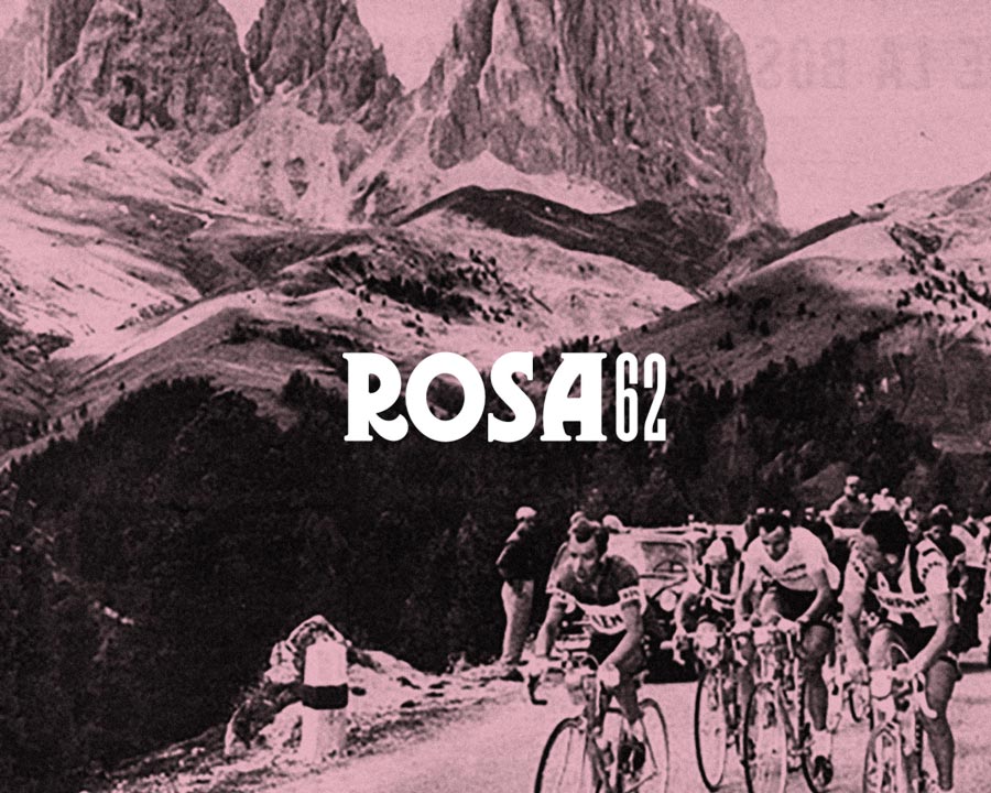 Rosa 62