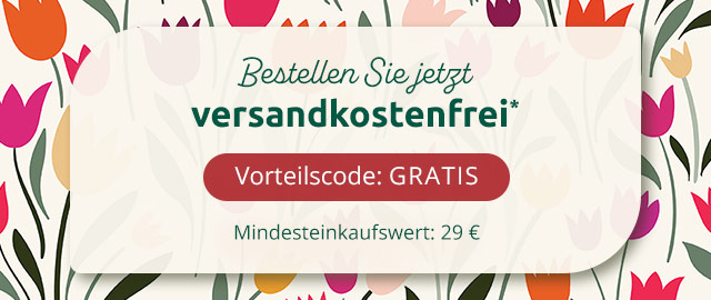 Bestellen Sie jetzt Versandkostenfrei*