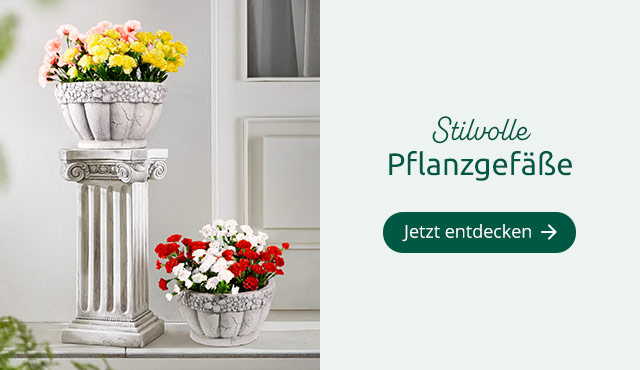 Stilvolle Bekleidung