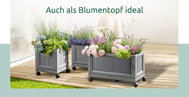 Modische Schuhe für Sie & Ihn