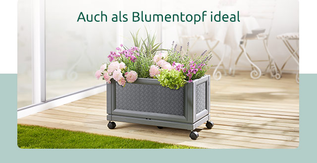 Auch als Blumentopf ideal