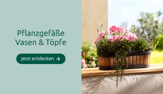 Pflanzgefäße, Vasen und Töpfe