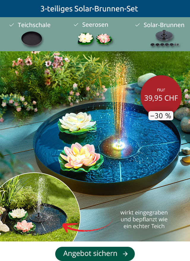 Solarbrunnen-Set