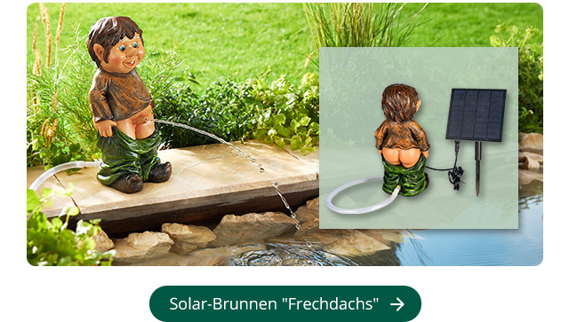 Solarbrunnen Frechdachs