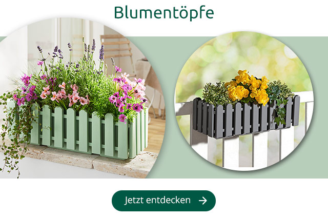 Blumentöpfe