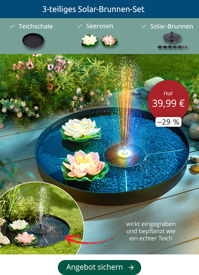 Solarbrunnen-Set