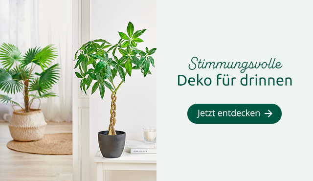 Deko für drinnen - Jetzt entdecken!