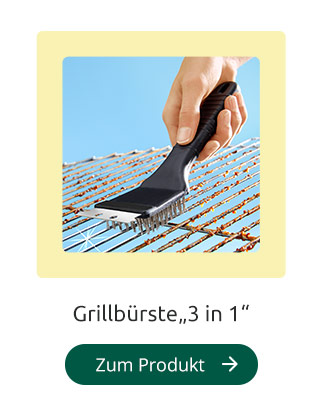 Grillbürste