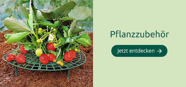 Pflanzzubehör