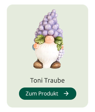 Toni Traube