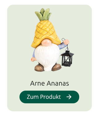 Arne Ananas